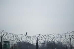 A bird perched on a barbed wire fence in a grayscale setting, evoking solitude.